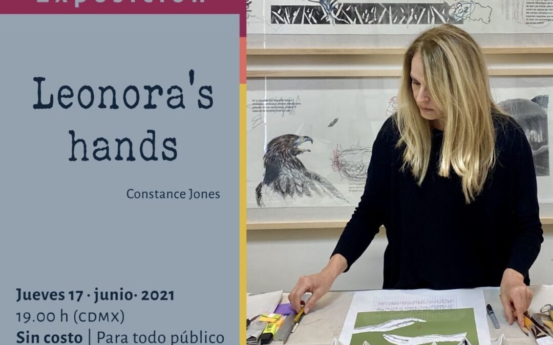 Nuevas exposiciones en el Museo Leonora Carrington SLP