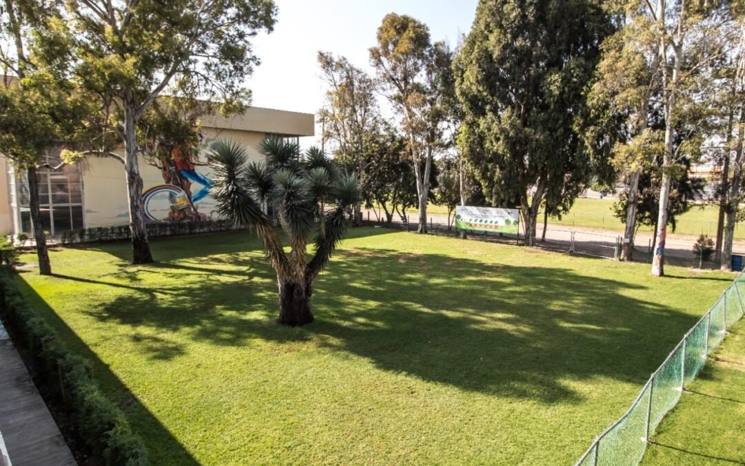 Espacios dignos para la convivencia y desarrollo de las y los jóvenes, una de las metas del INPOJUVE: Luis Fernando Alonso