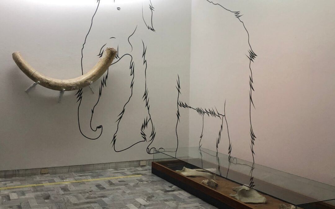 Gana el Museo Francisco Cossío convocatoria COPOCYT