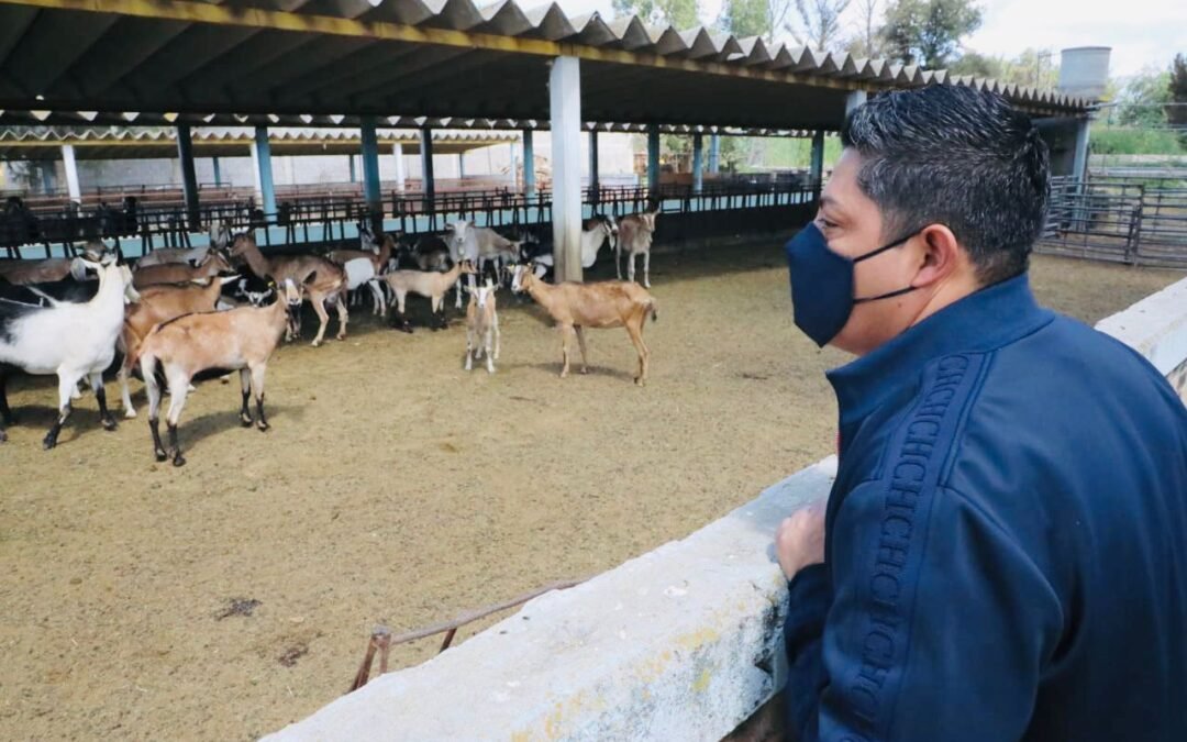Recursos para el campo serán repartidos equitativamente: Ricardo Gallardo Cardona