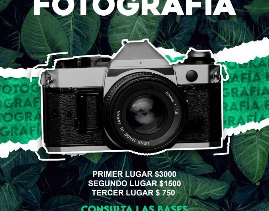 Últimos días para participar en el concurso de fotografía del INPOJUVE