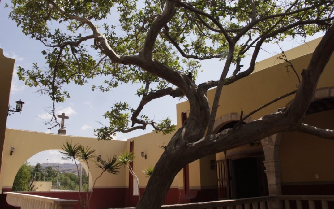 Casa del rebozo en Santa María del Río: dos años descubriendo el universo artesanal potosino