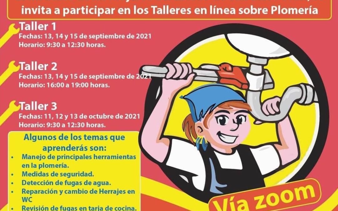 IMES promueve empoderamiento económico de las mujeres a través de talleres virtuales