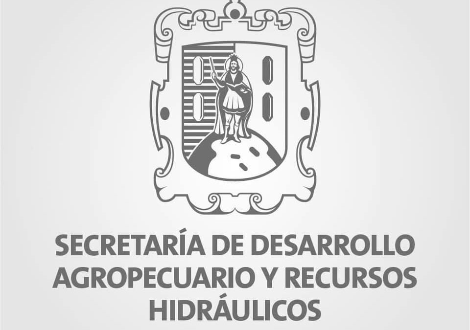 Lluvias favorecen siembra en SLP: SEDARH