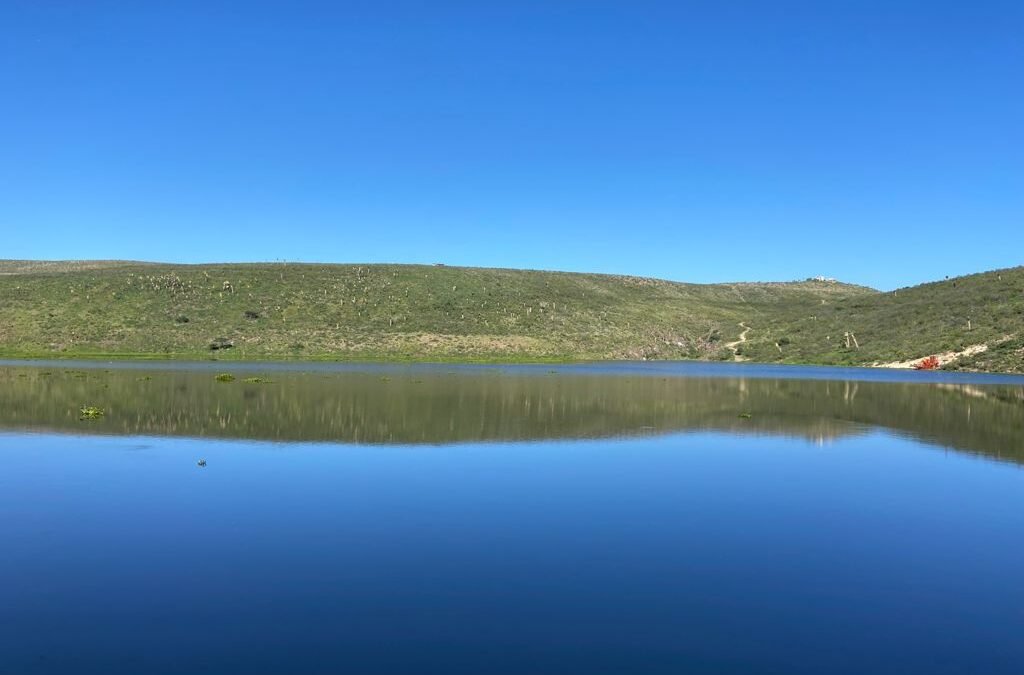 Mantienen buena captación presas potosinas: CEA