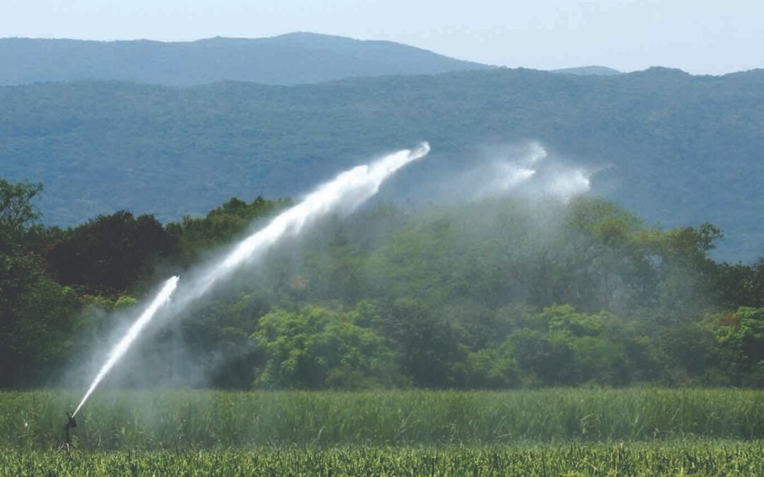 Más de 12 MIL hectáreas fueron equipadas con riego tecnificado en SLP