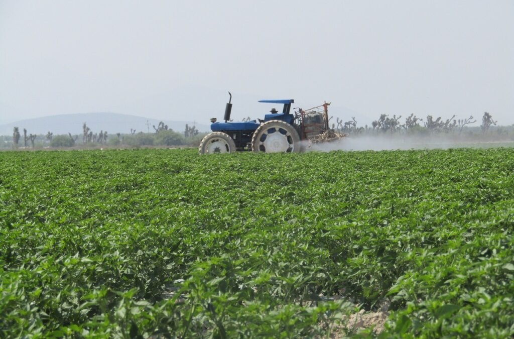 San Luis Potosí décimo productor agrícola en el país