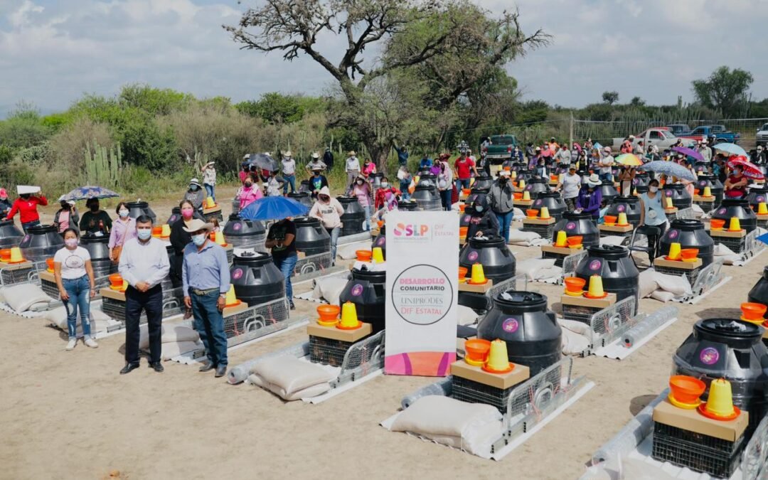 Seguimos promoviendo la autoproducción y el consumo de alimentos sanos: DIF Estatal