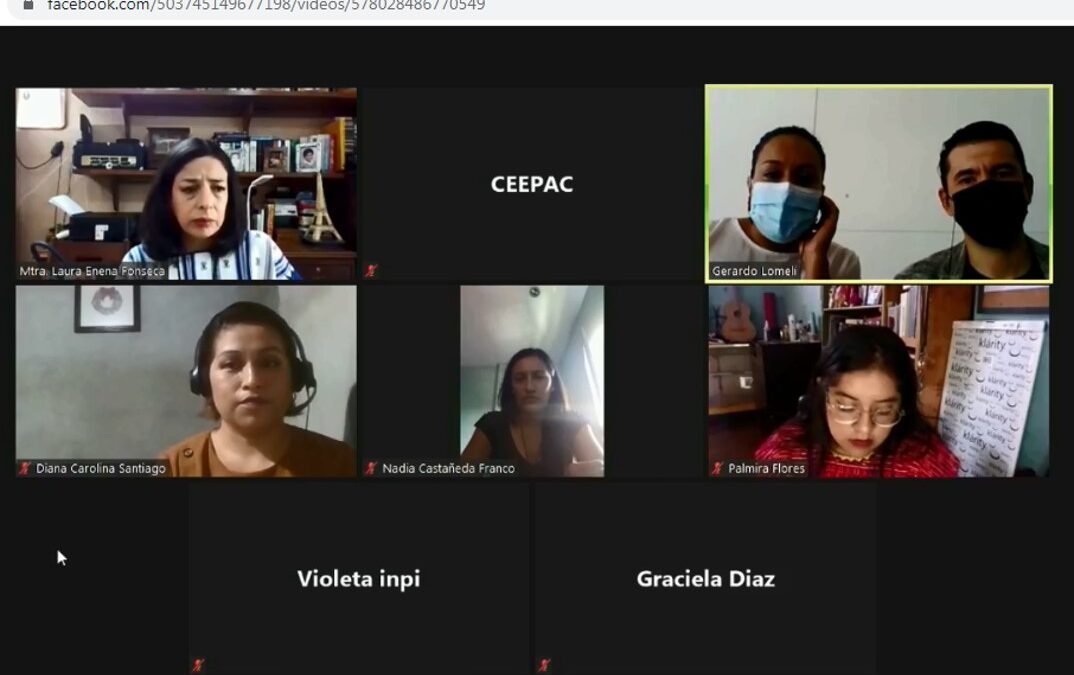 Necesaria mayor representatividad de los pueblos indígenas