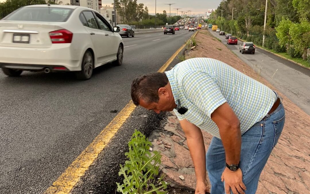 Atención inmediata a SLP con acciones integrales
