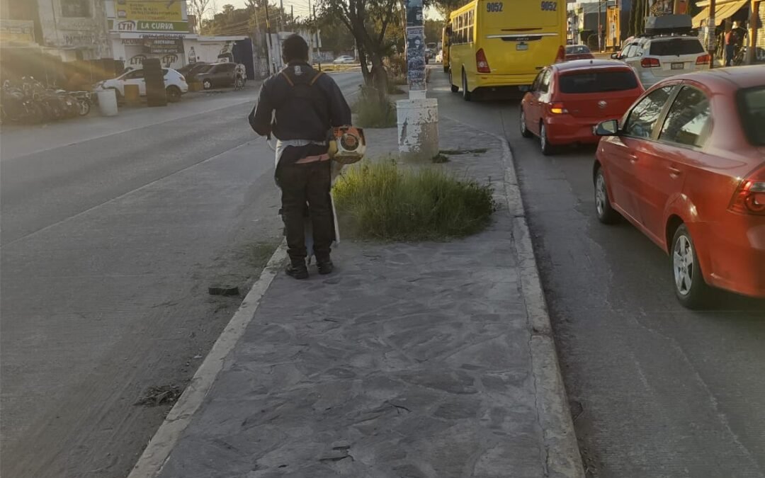 Servicios municipales da mantenimiento a jardines y camellones