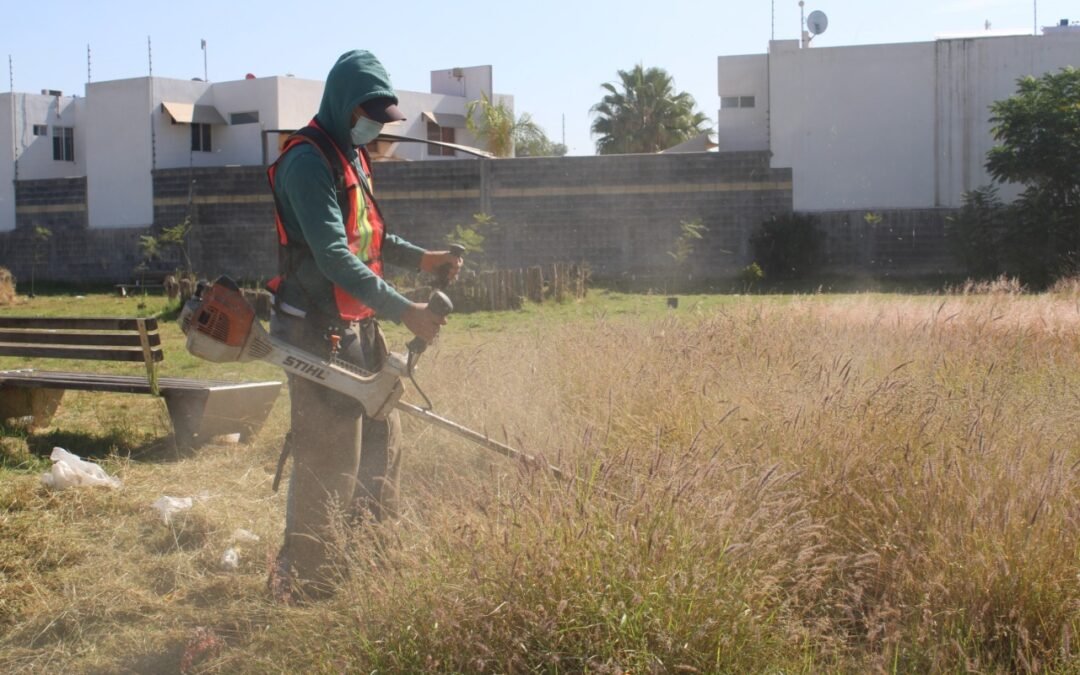 Vecinos y funcionarios de Pozos plantaron árboles en el parque de Gran Morada