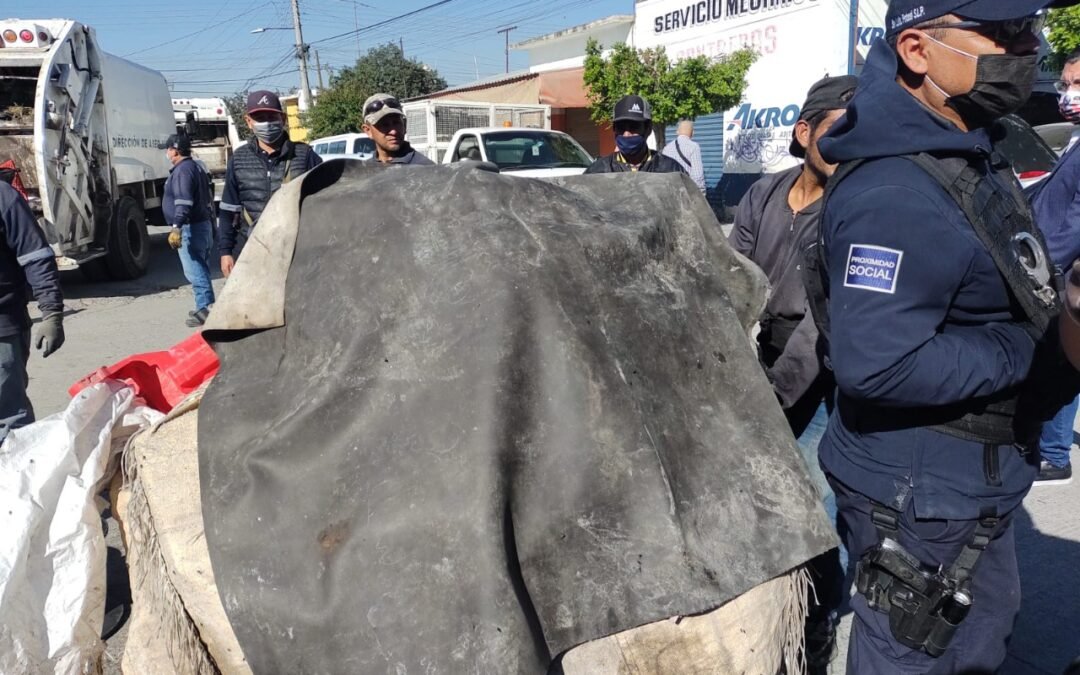 Ecología Municipal intervino basurero clandestino en la colonia Torres Bodet