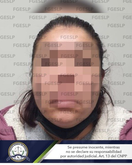 Detienen a una mujer por presunta violencia familiar