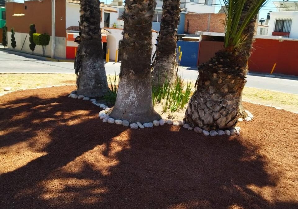 Servicios Municipales mejora el entorno con el uso de “xerojardines”