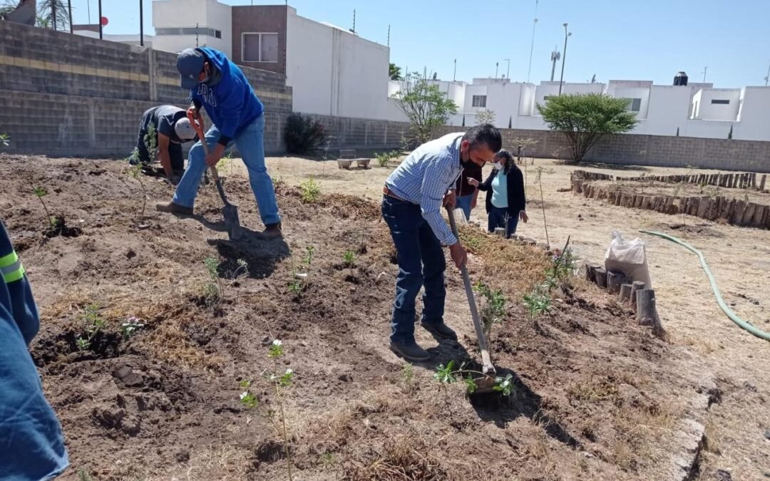 La Delegación de Villa de Pozos realizó la Semana del Medio Ambiente