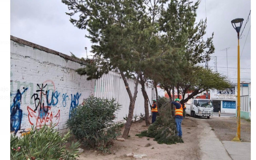 Comercio Municipal refuerza la rehabilitación del Mercado Revolución