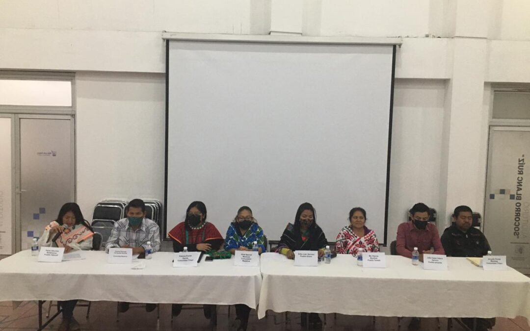 Convocan a la unidad a integrantes de pueblos y comunidades indígenas