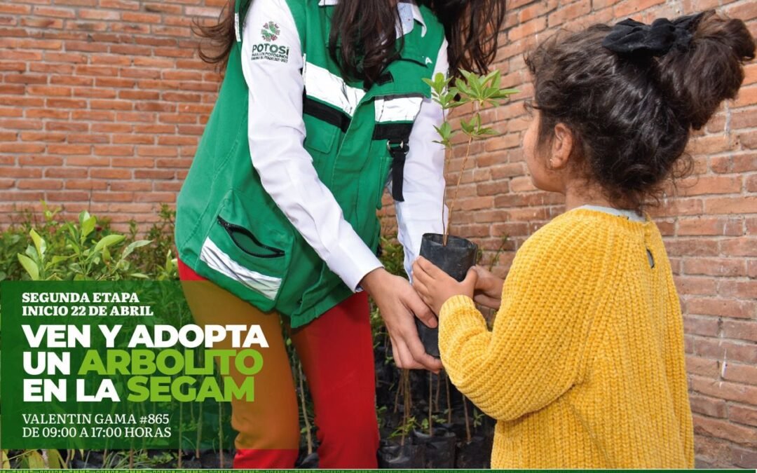 “ADOPTA UN ARBOLITO”: CAMPAÑA PARA FOMENTAR CUIDADO DEL MEDIO AMBIENTE
