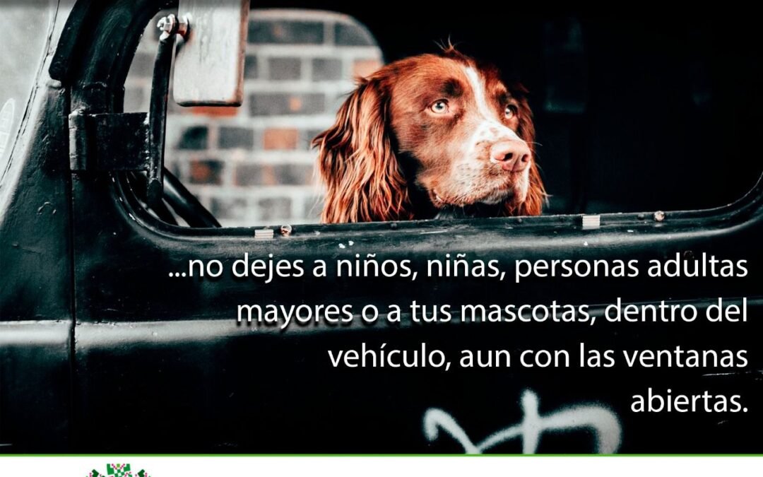 Temperaturas de hasta 45° en SLP