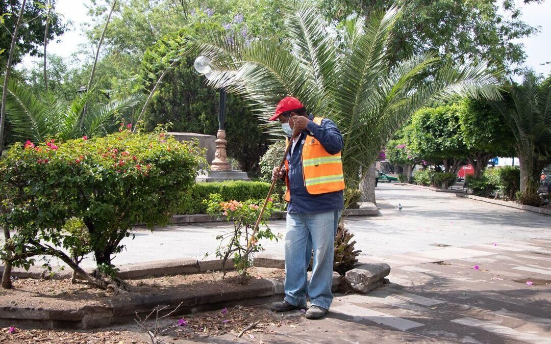 En una semana, la Dirección de Servicios Municipales realizó intervenciones en 276 colonias