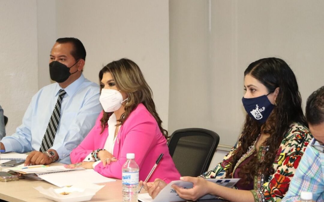 Comisión del Agua del Cabildo emitirá recomendaciones para tratar las frecuentes fallas de El Realito