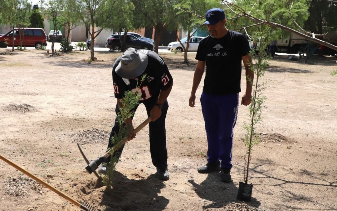 Gobierno de la Capital invita a reforestación masiva en distintas zonas de la ciudad