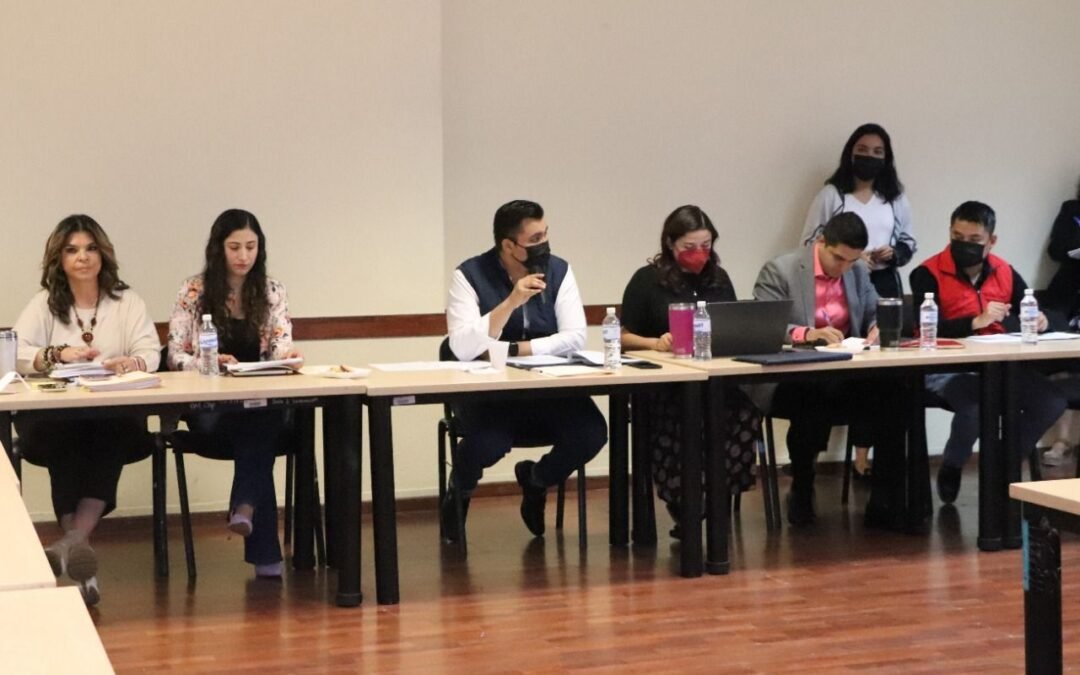 Comisiones de Gobernación y Ecología del Cabildo se pronuncian a favor del derecho humano al medio ambiente