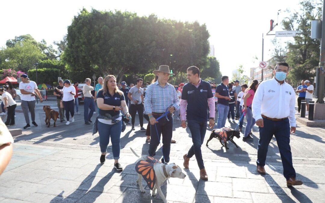 La “Caminata por la Adopción #ConCorreaSí” revistió la recreovía dominical de Carranza