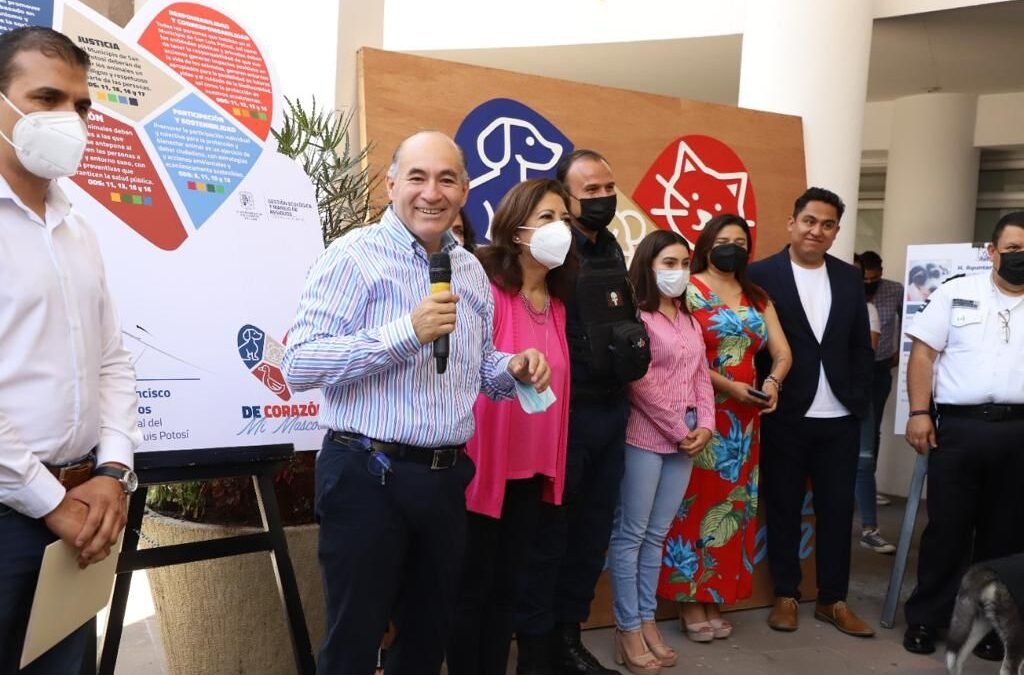 Gobierno de la Capital, comprometido con el bienestar y protección de los animales