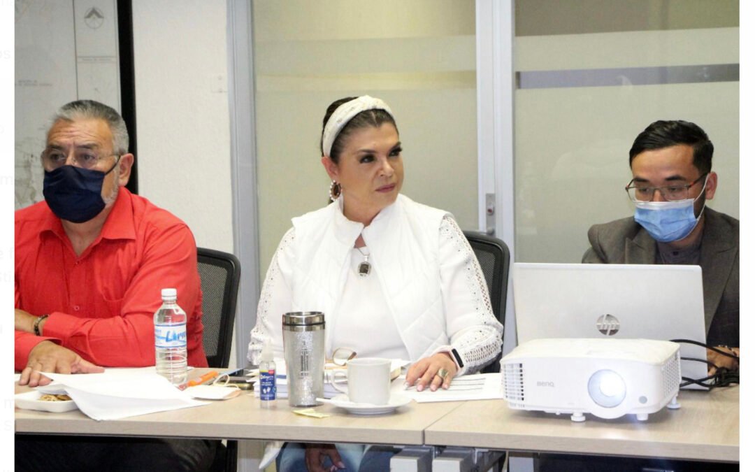 Regidora Ángeles Hermosillo pide aplicación del seguro ante reciente falla en “El Realito”