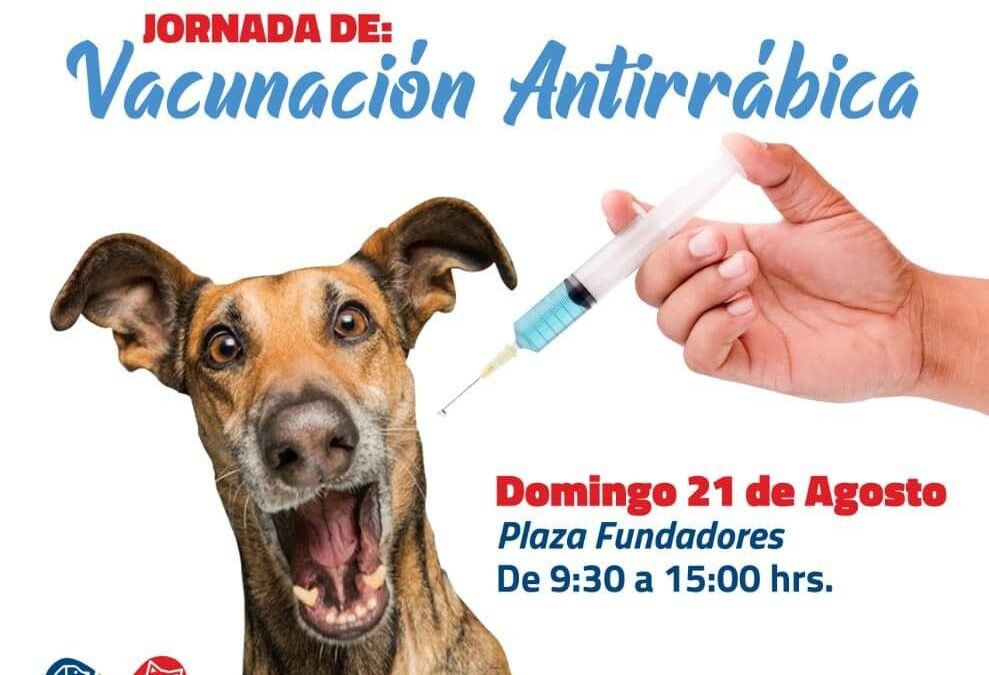 Este domingo, Gobierno de la Capital aplicará vacunas antirrábicas gratuitas para perros y gatos