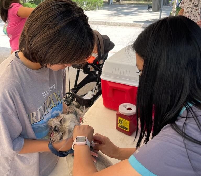 Más de 80 perros y gatos tienen un nuevo hogar, con el Segundo Festival de Adopción del Gobierno de la Capital