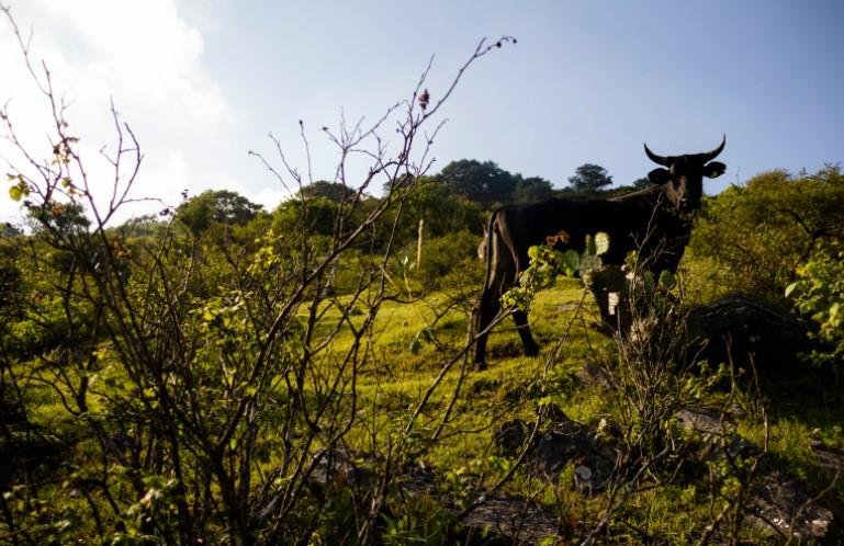13 fotógrafos potosinos participan en la exposición Fotografía Potosina Colectiva, que se exhibirá en la Galería Perimetral del Parque Juan H. Sánchez