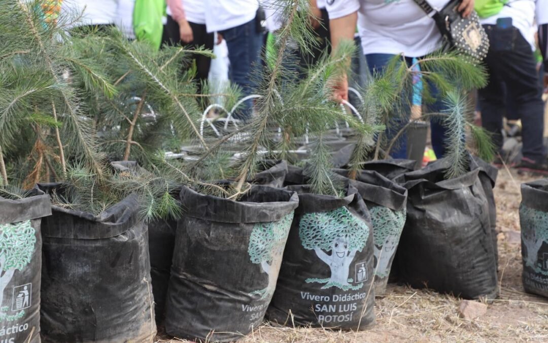 Para alcanzar un San Luis Sostenible, Gobierno de la Capital da seguimiento puntual al Plan Municipal de Desarrollo