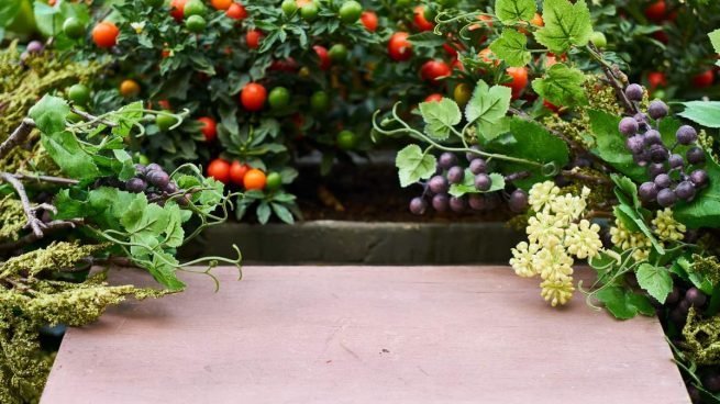 AFECTARÍA PROHIBICIÓN DE PLAGUICIDAS SALUD ECONÓMICA Y PRODUCTIVA DEL CAMPO