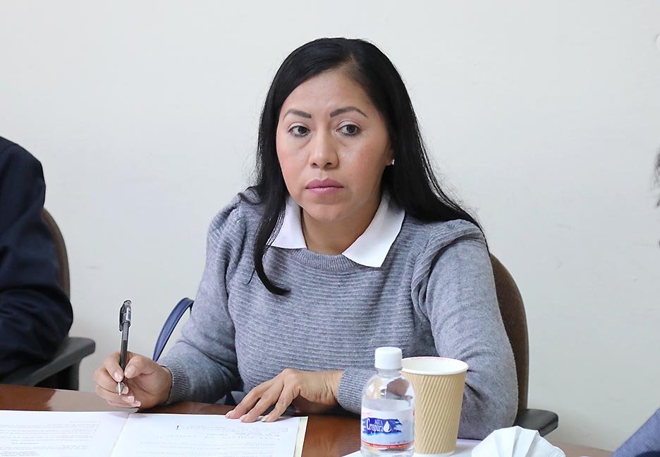 La Dip. Bernarda Reyes Hernández Presentó Iniciativa de Reforma a la Ley para el Desarrollo Económico