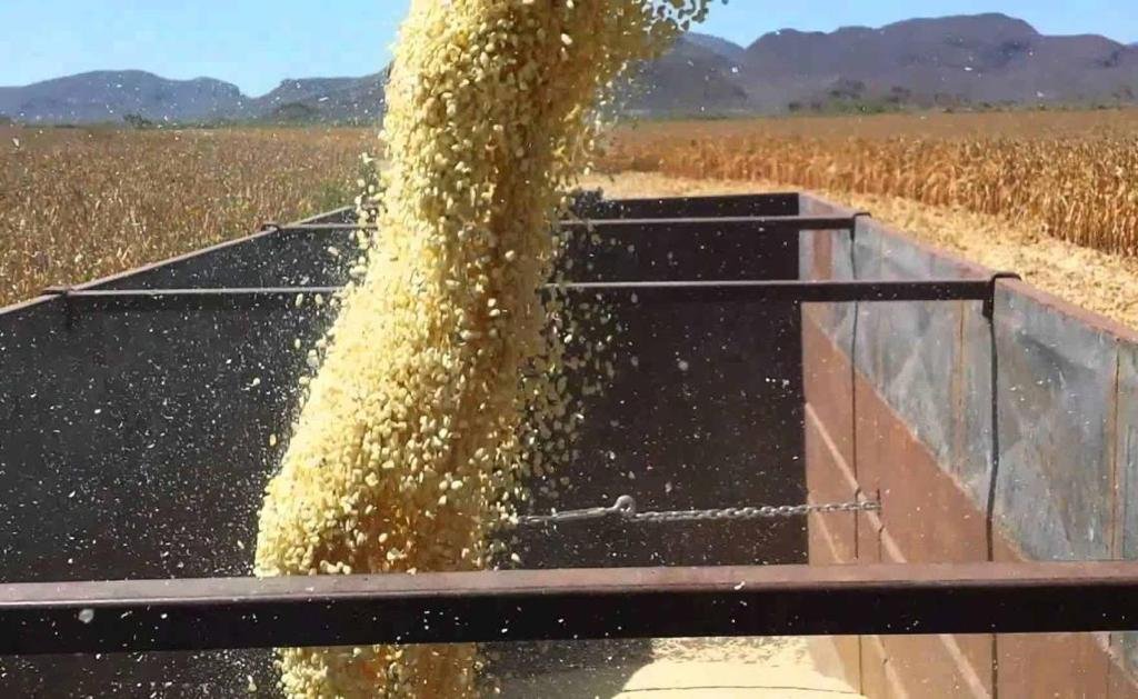 DENUNCIAN AGRICULTORES NULO APOYO AL CAMPO