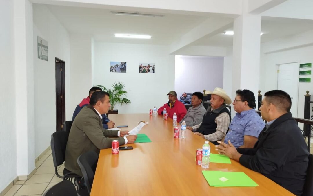 IMPULSARÁ SEDARH PROGRAMA DE CÍTRICOS DE PINIHUAN