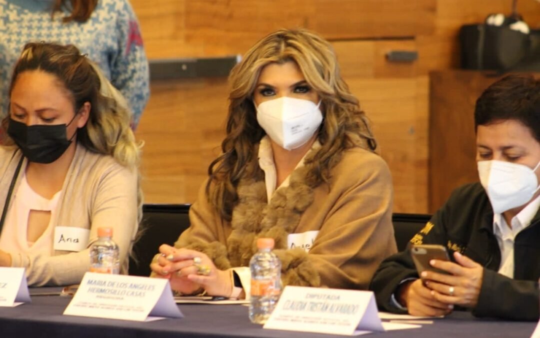 2022, de importantes avances en atención a la ciudadanía e infraestructura hidráulica: regidora Ángeles Hermosillo