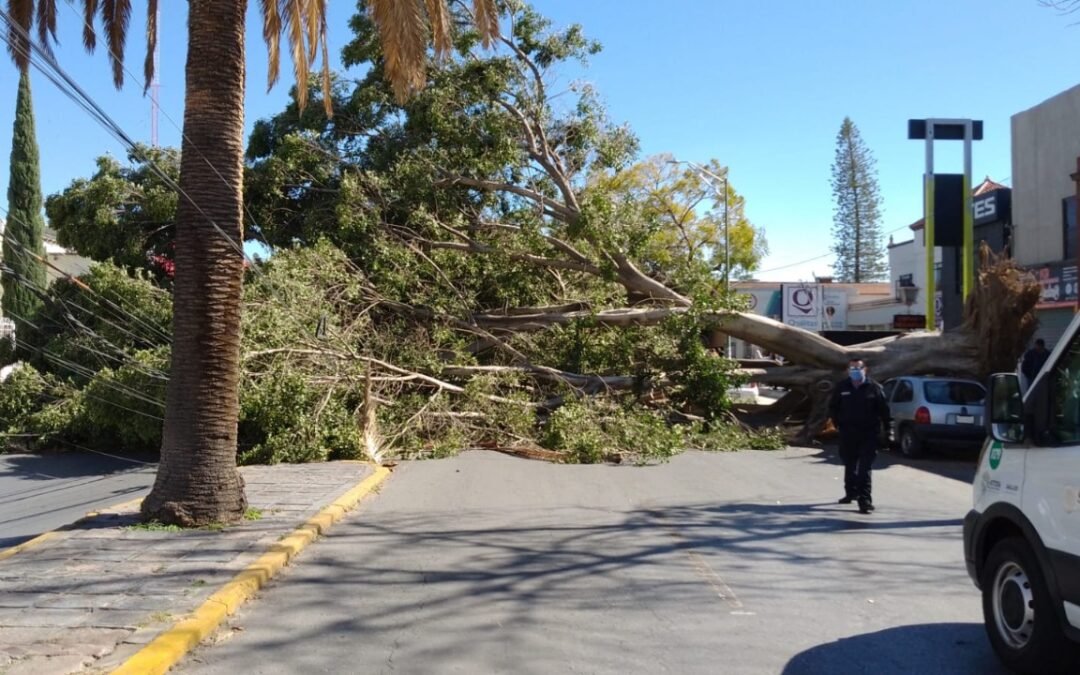 Operativo emergente ante los fuertes vientos de este martes