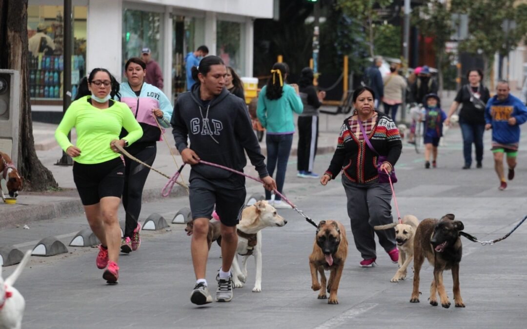 El próximo domingo 29 de enero, “Carrera Atlética Perrona 2023”