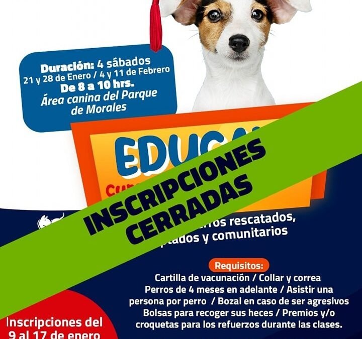 En solo dos días, se llenan las inscripciones para el curso de adiestramiento canino EduCAN