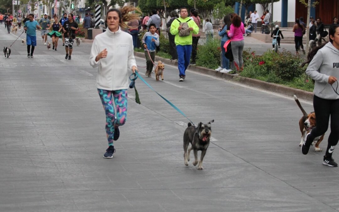 Invitan a participar en la “Carrera Perrona 2023”, a realizarse el domingo 29 de enero