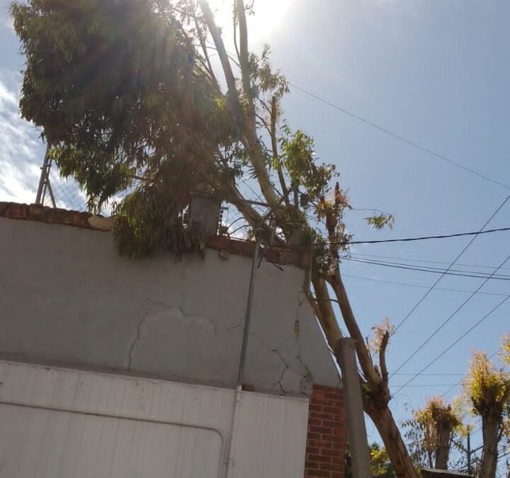 Protección Civil en vigilancia permanente ante el periodo de fuertes vientos