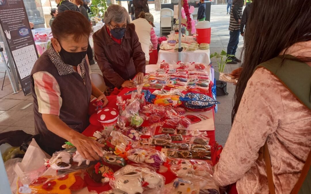 DIF y Coordinación de Emprendimiento Municipal profesionalizarán a personas con discapacidad y adultos mayores