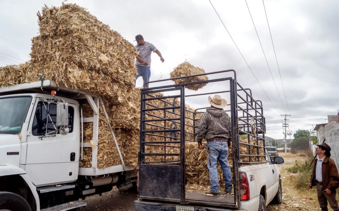 Con apoyos para enfrentar el estiaje, Gobierno de la Capital beneficia a productores de Bocas