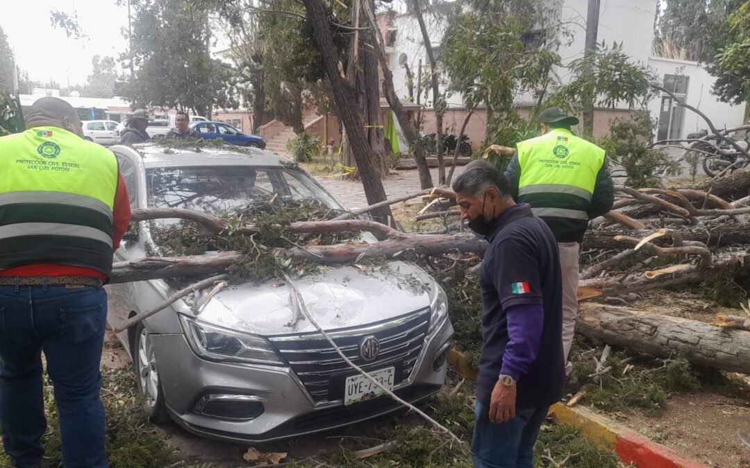 PROTECCIÓN CIVIL DEL ESTADO ATIENDE REPORTES POR FUERTES VIENTOS EN SLP