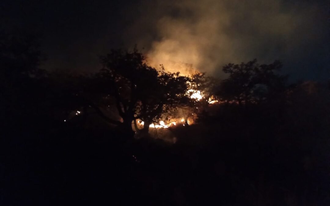 INCENDIOS FORESTALES FUERON PROVOCADOS: PROTECCIÓN CIVIL