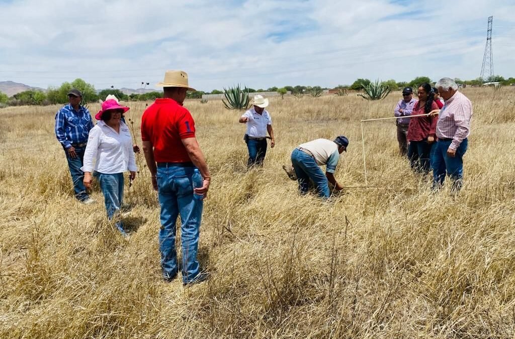 En La Pila, el Ayuntamiento de la Capital impulsa alternativas ecológicas para el sector agropecuario